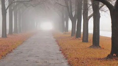 Pogoda na jutro. W górach może zacząć padać śnieg