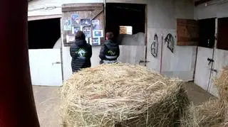 Zwierzęta stracą azyl przez budowę portu lotniczego?