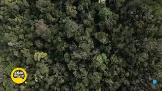 Dzieci świata – tajemnicze plemię z Madagaskaru