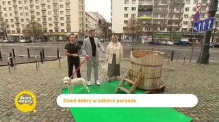 Morsowanie czas zacząć 