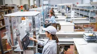 Polska emigracja zarobkowa. Raport Narodowego Banku Polskiego