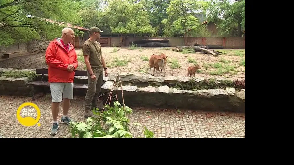 DD_20220823_Pogoda_REP