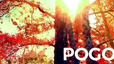Prognoza pogody na 16, 17, 18 listopada 2023