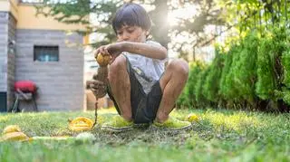 Mama pokazała obowiązki 10-letniego syna. Chłopiec wiedział, jak je sobie ułatwić