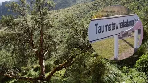 Czym jest Taumata?