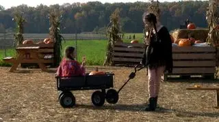 Dzień Dobry albo psikus