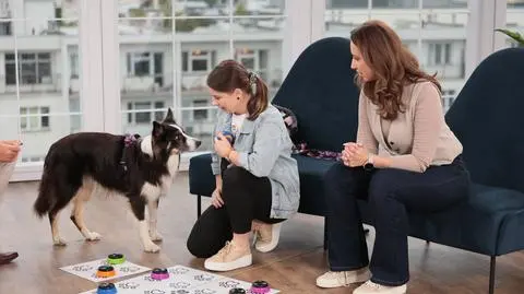 Maty głosowe dla psa. Jak nauczyć pupila "mówić" przy użyciu przycisków?