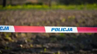 Zatrzymano podejrzanych o porwanie i brutalne znęcanie się nad 14-latką