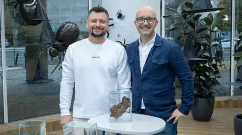 Co trzeba wiedzieć o pająkach? 