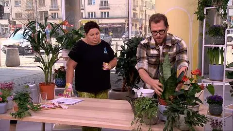 Wiosenne przesadzanie roślin