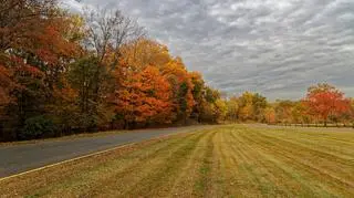 Pogoda na dzisiaj. Co nas czeka w pierwszy dzień października?