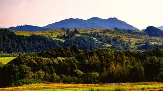 Pieniński Park Narodowy – atrakcje i ciekawostki dotyczące regionu