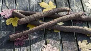 Skorzonera czyli jesienno-zimowe szparagi. Zapomniany superfood 