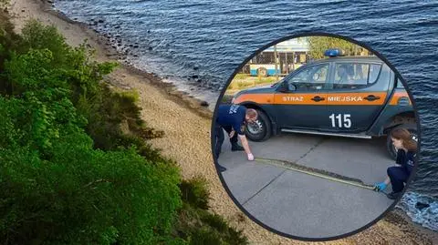 Projekt bez nazwy (54)