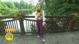 Zwierzyniec – prawdziwa perełka pięknego Roztocza 