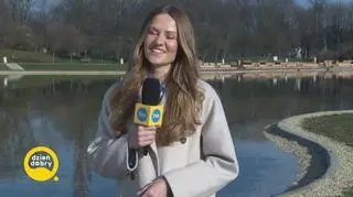 Jaka będzie dziś pogoda? 