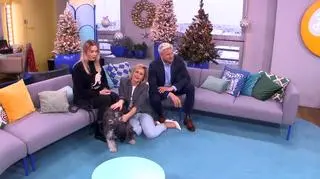 Ami szuka kochającego domu