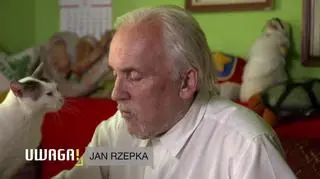 Przygarnęli pięć bezdomnych kotów. Urzędnicy grożą parze emerytów eksmisją.