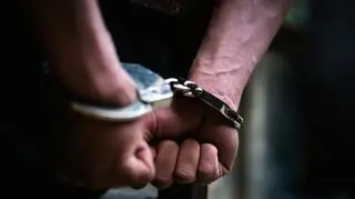Kierowca podejrzany o molestowanie pasażerki trafił do aresztu