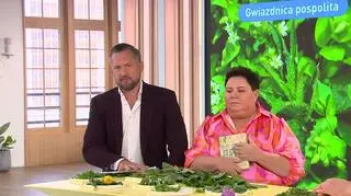 Chwasty od kuchni 
