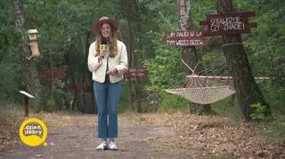 Pogoda na dziś 