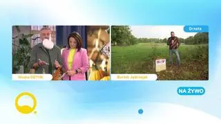 Jak zrobić koc z dyni?