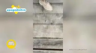 Pogodni TVN 