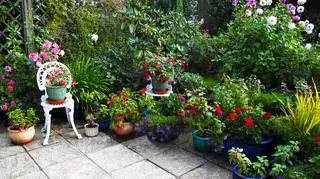 Jak urządzić własny taras?