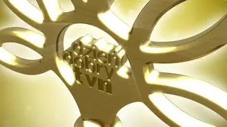 Pozytywki Dzień Dobry TVN za marzec 2024. Weź udział w głosowaniu