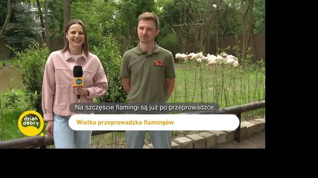 DD_20240524_Flamingi_REP_napisy