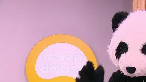DD_20230316_Pytania_REP