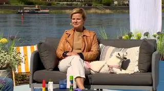 Jak zabezpieczyć się przed kleszczami? 