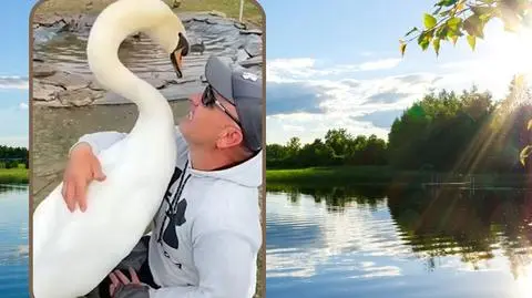 Niezwykła przyjaźń łabędzia i człowieka 