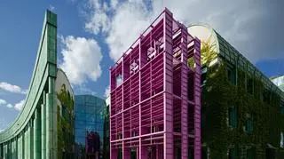 Najlepsza polska studentka z Tanzanii o życiu w Polsce. Co ją zaskoczyło?