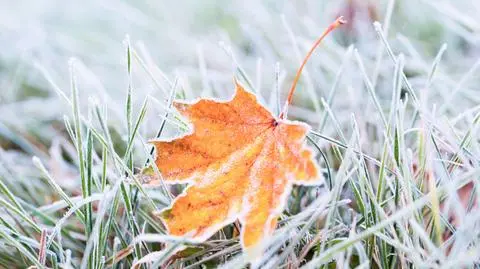 Pogoda na piątek. W tych regionach temperatura spadnie poniżej zera