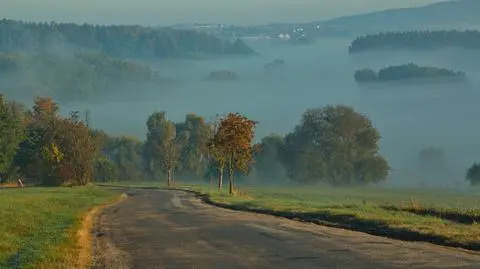 Pogoda na sobotę. IMGW ostrzega przed gęstymi mgłami w 9 województwach