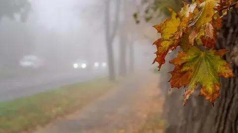 Pogoda na sobotę. Tu mogą wystąpić gęste mgły