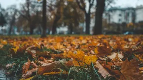 Pogoda na środę. Jesień rozgościła się na dobre