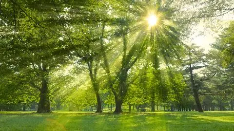 Pogoda na środę. Tu temperatury znowu mocno wzrosną