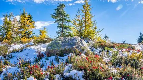 Pogoda na środę. W dzień wysokie temperatury, w nocy deszcz ze śniegiem
