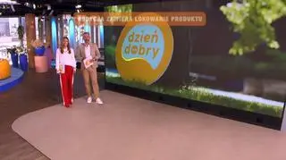 Początek programu 