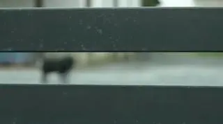 Uwaga TVN. Nieprawidłowości w prywatnym domu seniora?