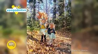 Pogodni TVN 