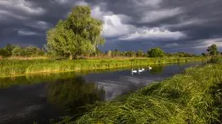 Pogoda na poniedziałek. Nadchodzi zmiana. Gdzie będą burze?