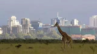 Nairobi – co warto zobaczyć w stolicy Kenii?
