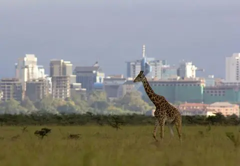 Nairobi – co warto zobaczyć w stolicy Kenii?