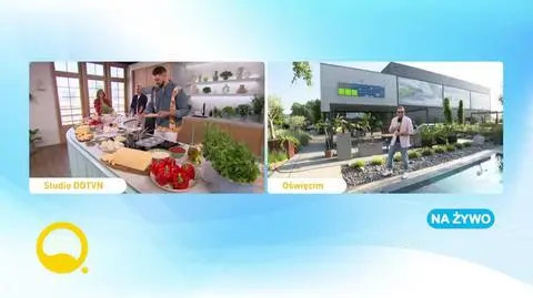 Serowe przysmaki według przepisów Bartka Boratyna. Wyjątkowy obiad i śniadanie