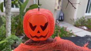 Jak Amerykanie świętują Halloween w tym roku?
