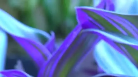 DD_20231109_Skop_rep_REP