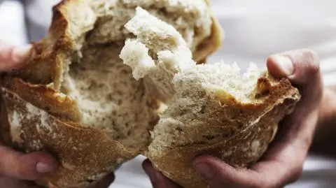 Czy w Polsce zabraknie chleba?